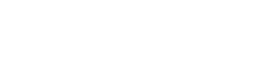Casero, professionele websites